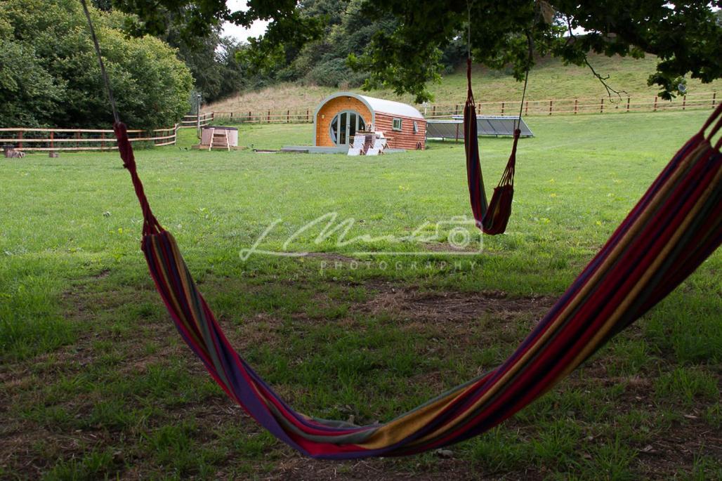 Hidden Wood Glamping And The Hideaway Cabin Warminster Dış mekan fotoğraf